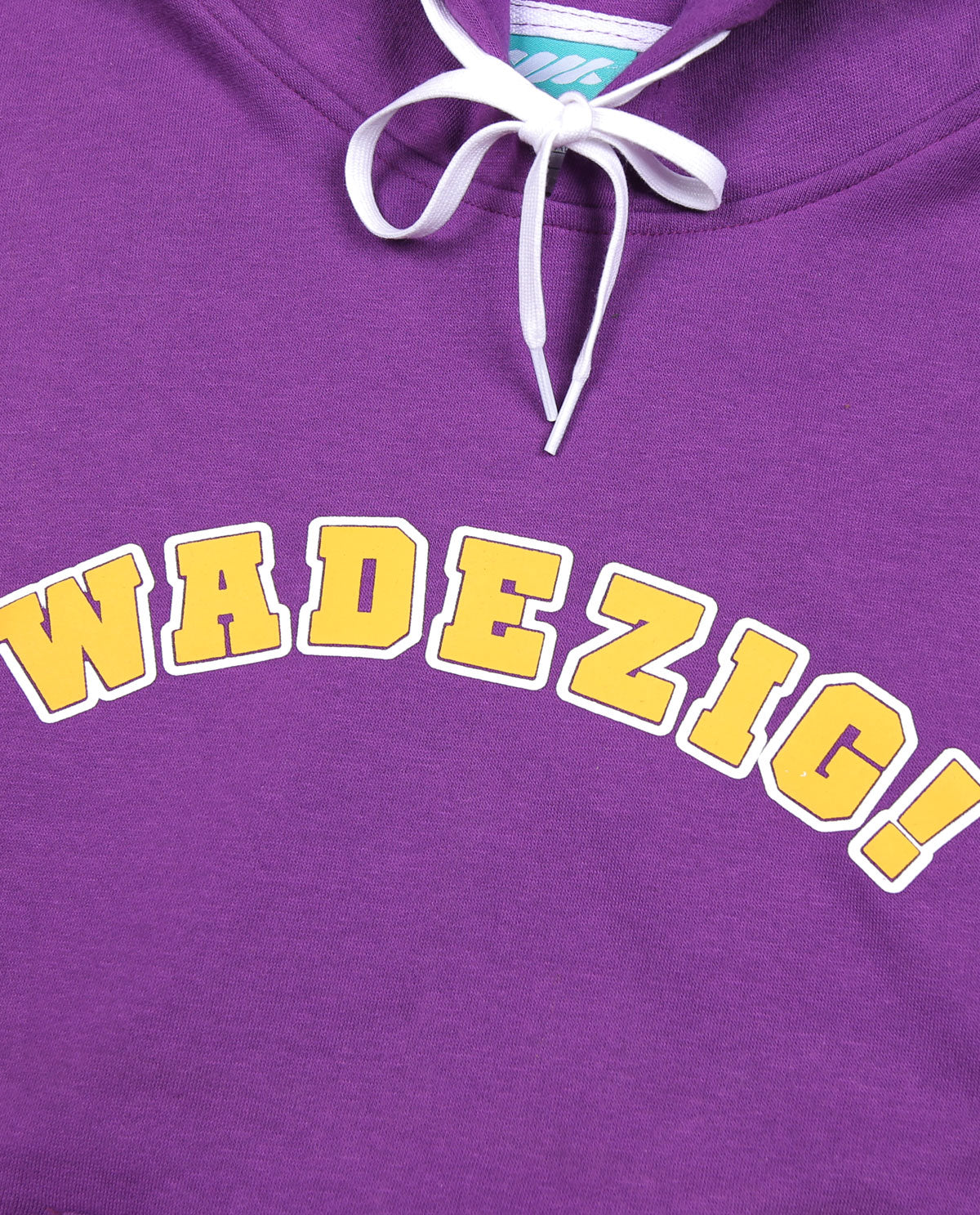WADEZIG! SWEATER - CHAMPION HOODIE PURPLE