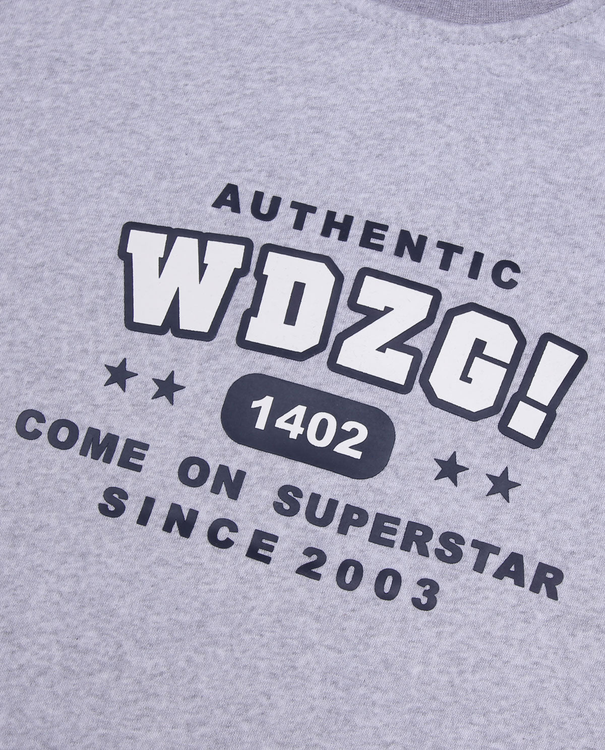 WADEZIG! SWEATER - GENERIC CREWNECK