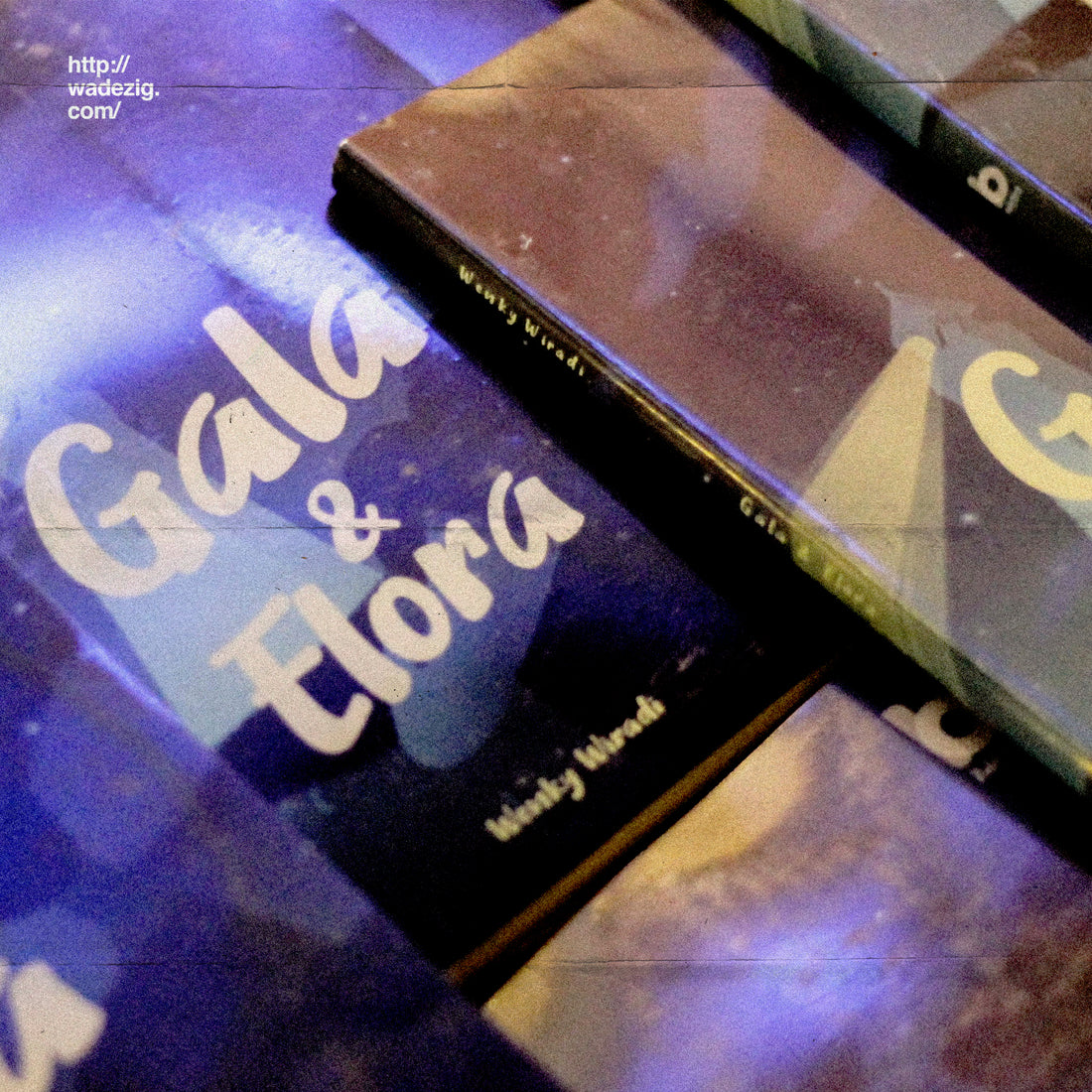 Book Talk Novel Gala & Elora