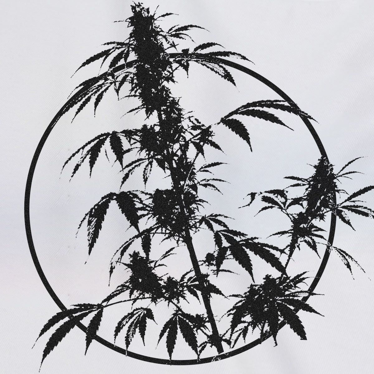 WADEZIG! T-SHIRT - ORGANIC PLANT CLUB